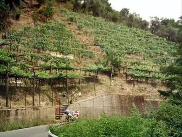 Terreno in vendita a Carrara, Toscana