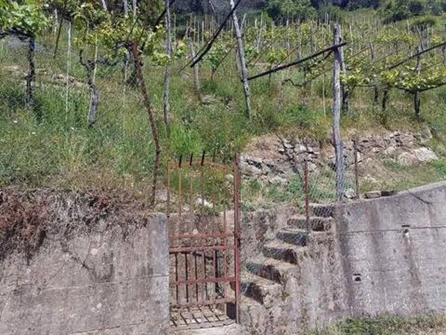 Terreno in vendita a Carrara, Toscana