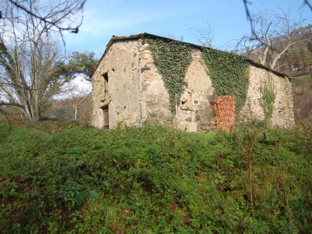Terreno in vendita a Carrodano, Liguria