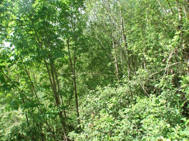 Terreno in vendita a Colli di Monte Bove, Carsoli