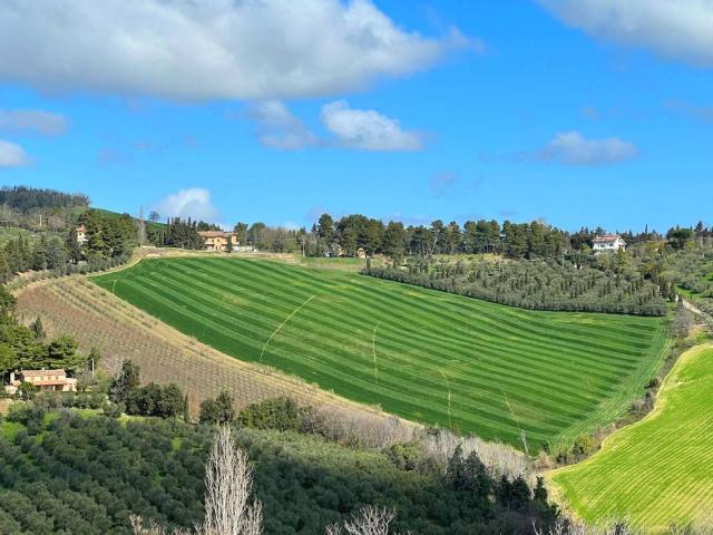 Terreno in vendita a Colli al Metauro, Marche