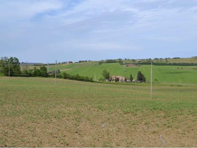 Terreno in vendita a Cartoceto, Pesaro e Urbino
