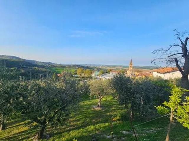 Terreno in vendita a Colli al Metauro, Marche