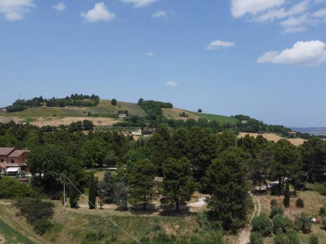 Terreno in vendita a Colli al Metauro, Marche