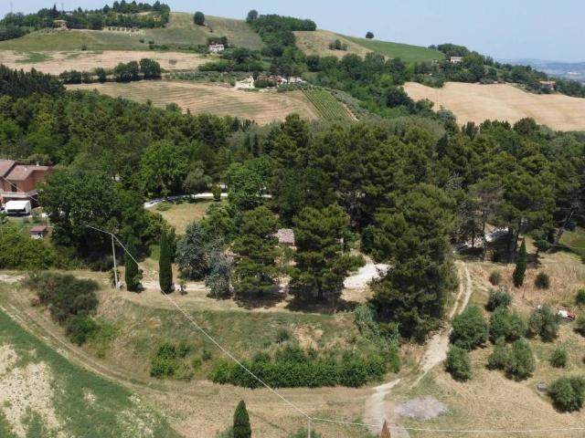 Terreno in vendita a Colli al Metauro, Marche