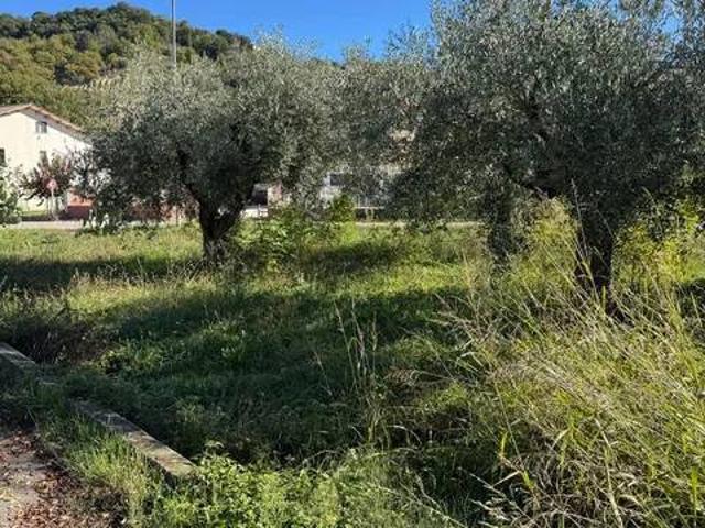 Terreno in vendita a Casacanditella, Abruzzo