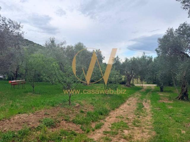 Terreno in vendita a Casagiove, Campania