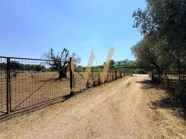 Terreno in vendita a Casagiove, Campania