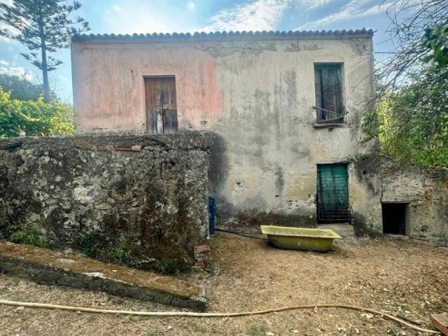 Terreno in vendita a Stella Cilento, Campania