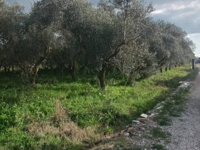 Terreno in vendita a Bivio di Acquavella, Casal Velino Marina