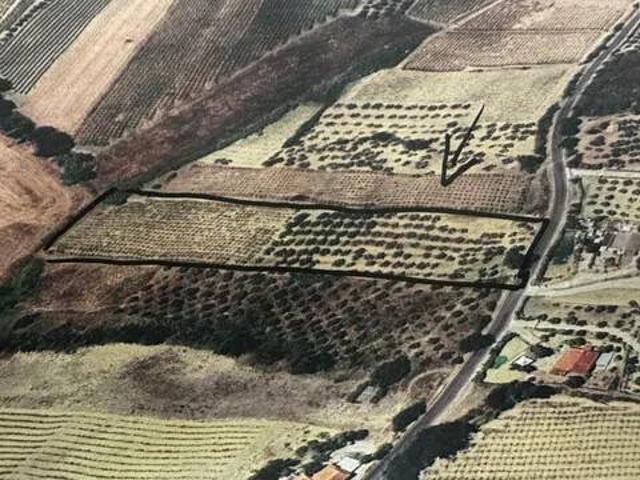 Terreno in vendita a Cerratina, Pollutri