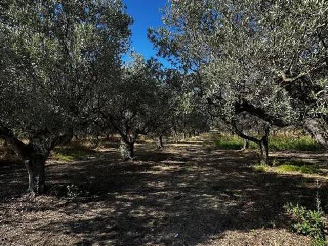 Terreno in vendita a Miracoli, Casalbordino
