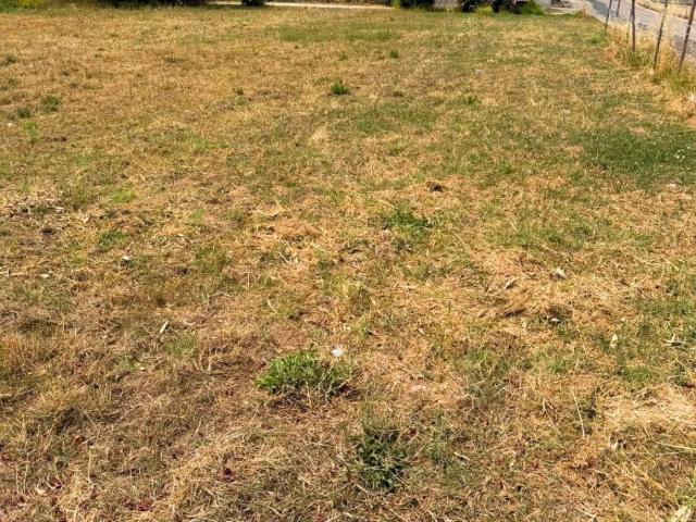 Terreno in vendita a Casalbordino Lido, Casalbordino
