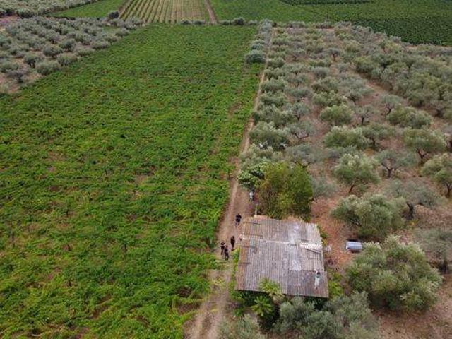 Terreno in vendita a Casalbordino, Abruzzo