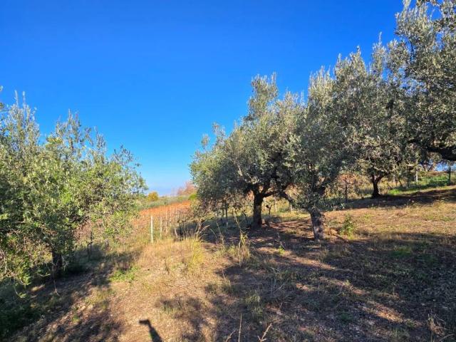 Terreno in vendita a Piana del Lago, Casalbordino