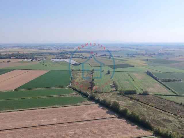 Terreno in vendita a Altaura, Casale di Scodosia
