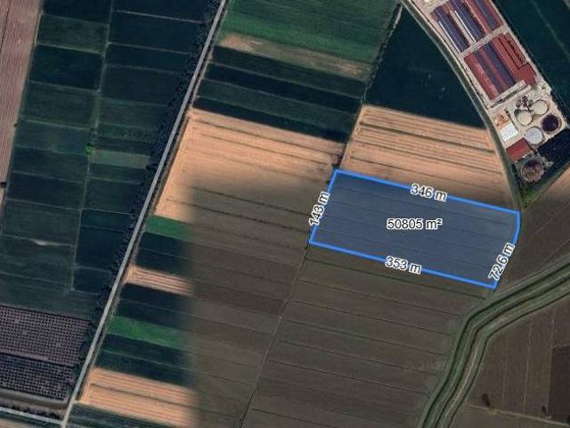 Terreno in vendita a Casale Di Scodosia, Veneto