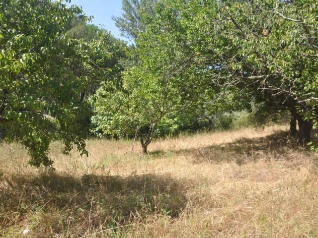 Terreno in vendita a La Valle, Casale Marittimo