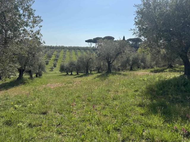 Terreno in vendita a Casale Marittimo, Toscana