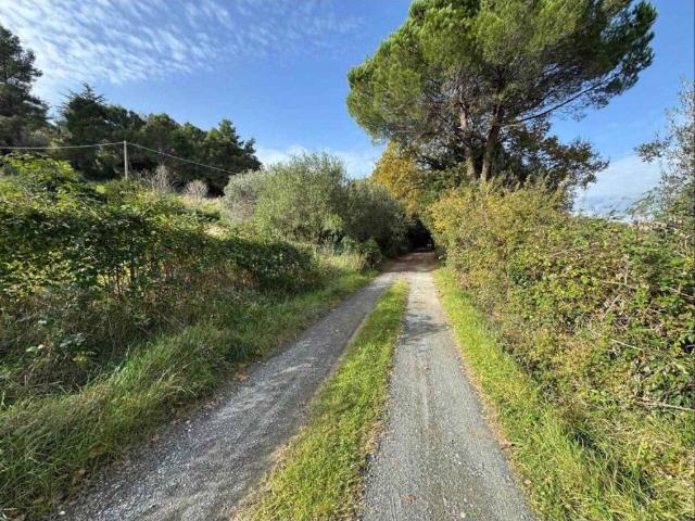 Terreno in vendita a La Valle, Casale Marittimo