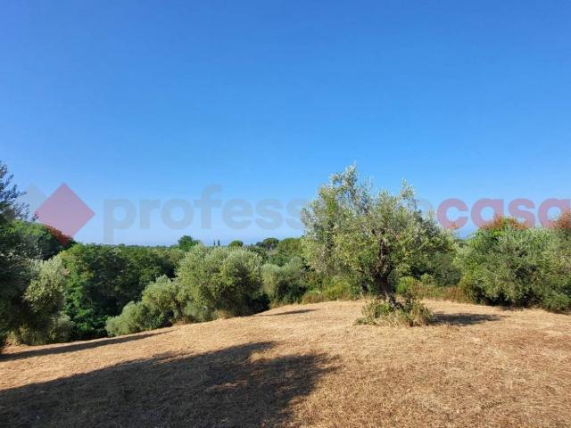 Terreno in vendita a La Valle, Casale Marittimo