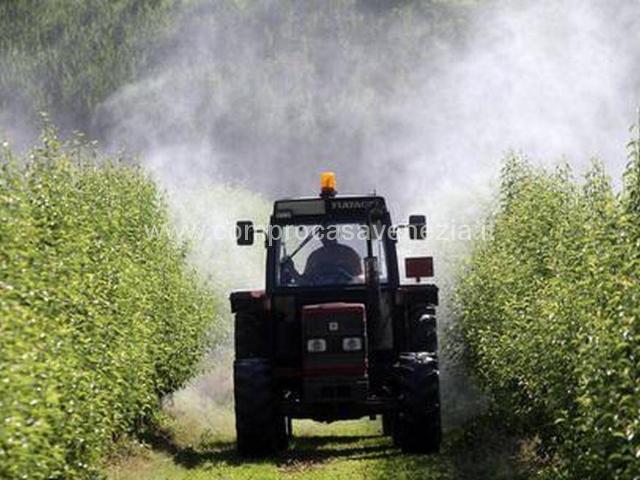Terreno in vendita a Mogliano Veneto, Veneto