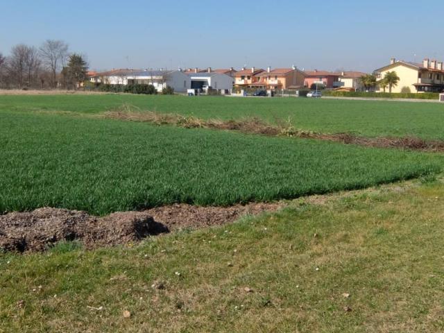 Terreno in vendita a Casale Sul Sile, Veneto