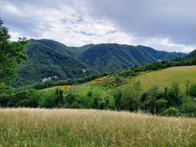 Terreno in vendita a Unione dei comuni Valli del Reno, Lavino e Samoggia, Casalecchio Di Reno