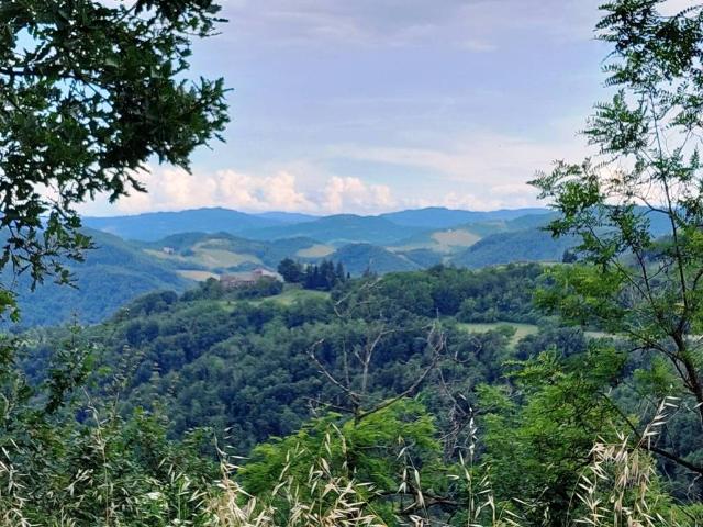 Terreno in vendita a Unione dei comuni Valli del Reno, Lavino e Samoggia, Casalecchio Di Reno