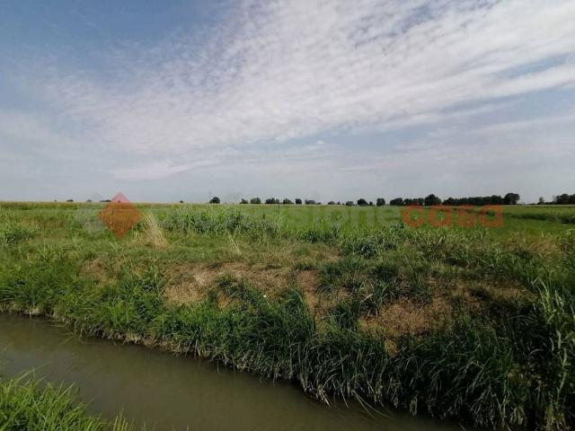Terreno in vendita a Casaleone, Veneto