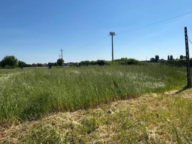 Terreno in vendita a Sustinenza, Casaleone