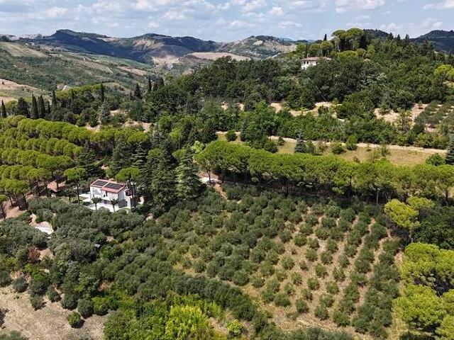 Terreno in vendita a Nuovo Circondario Imolese, Casalfiumanese