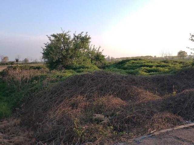 Terreno in vendita a Piemonte, Cuneo