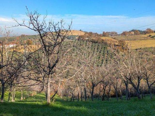 Terreno in vendita a Casalincontrada, Abruzzo