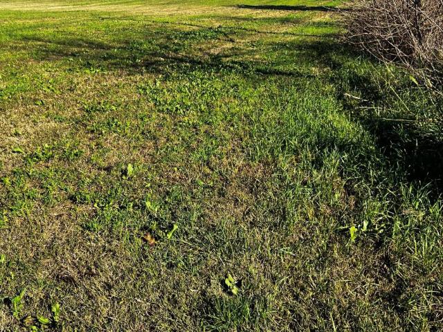 Terreno in vendita a Casalmoro, Lombardia