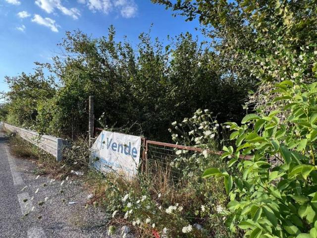 Terreno in vendita a Casamarciano, Campania