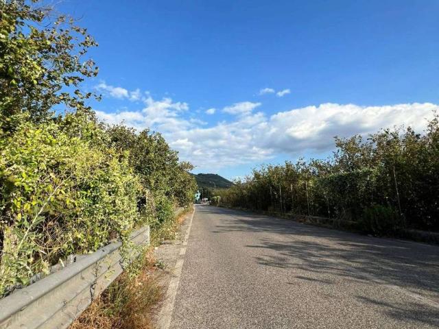 Terreno in vendita a Casamarciano, Campania