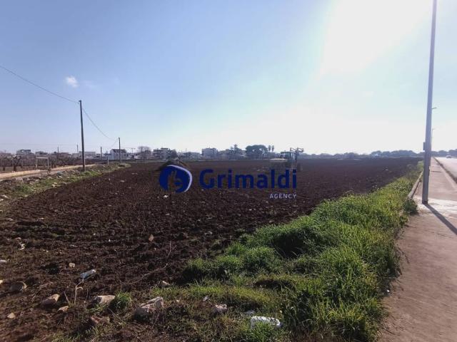 Terreno in vendita a Puglia, Bari