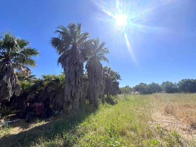 Terreno in vendita a Puglia, Lecce