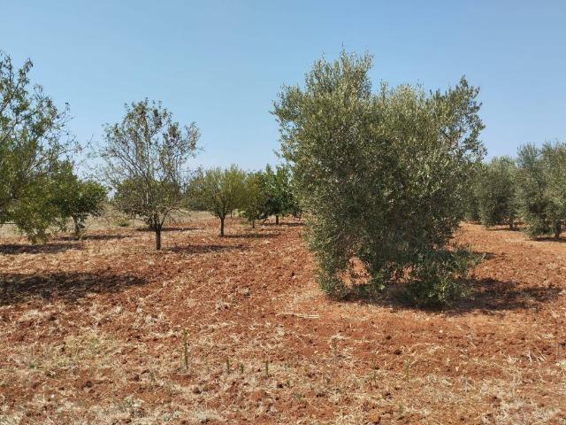 Terreno in vendita a Puglia, Lecce