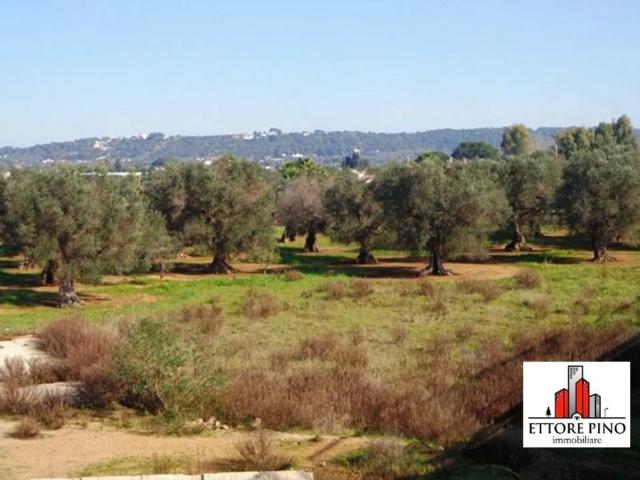 Terreno in vendita a Puglia, Lecce