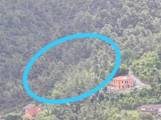 Terreno in vendita a Casarza Ligure, Liguria