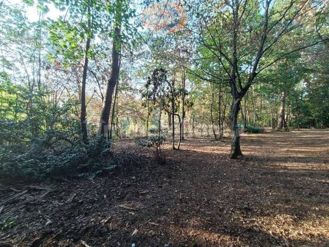 Terreno in vendita a Rancate, Casatenovo