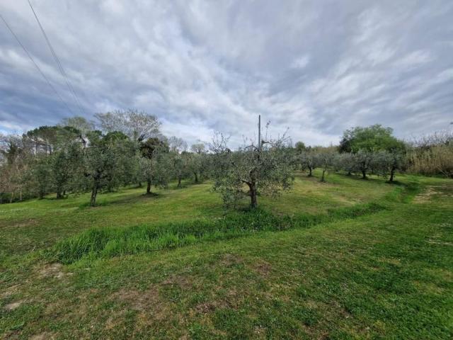 Terreno in vendita a Casciana Terme Lari, Lari