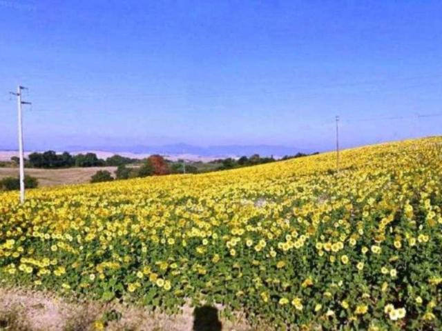 Terreno in vendita a Casciana Terme Lari, Ceppato