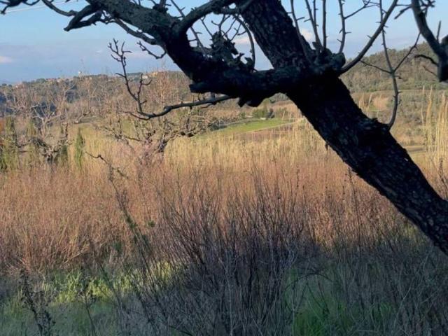 Terreno in vendita a Casciana Terme Lari, Casciana Alta