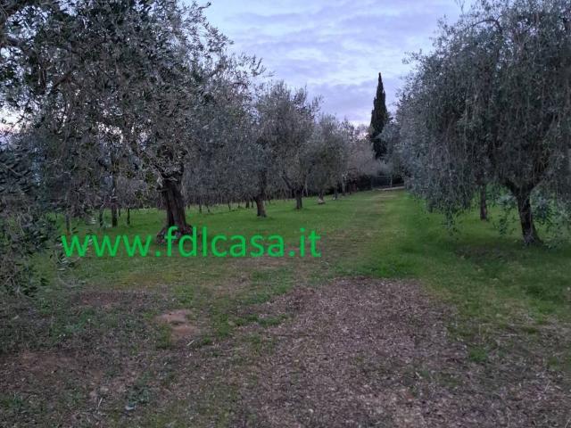 Terreno in vendita a Casciana Terme Lari, Casciana Terme