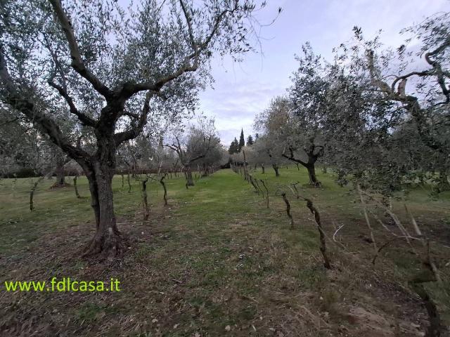 Terreno in vendita a Casciana Terme Lari, Casciana Terme