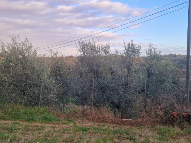 Terreno in vendita a Casciana Terme Lari, Lari