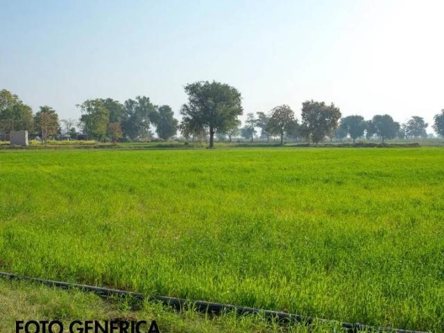 Terreno in vendita a Casciana Terme Lari, Perignano